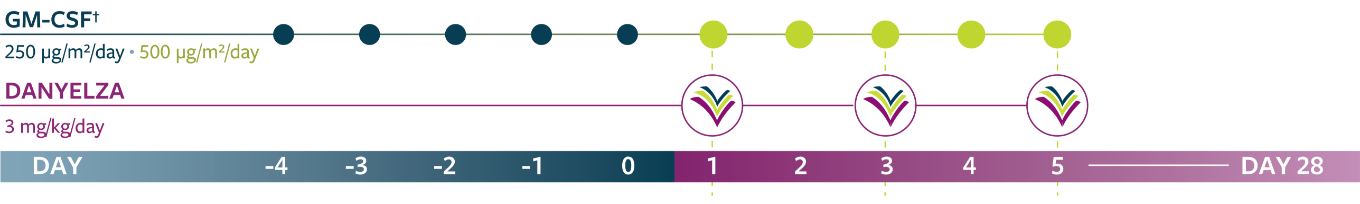 Timeline graphic showing GM-CSF administraNon from day -4 to 5, with
DANYELZA administraNon on Days 1, 3, and 5